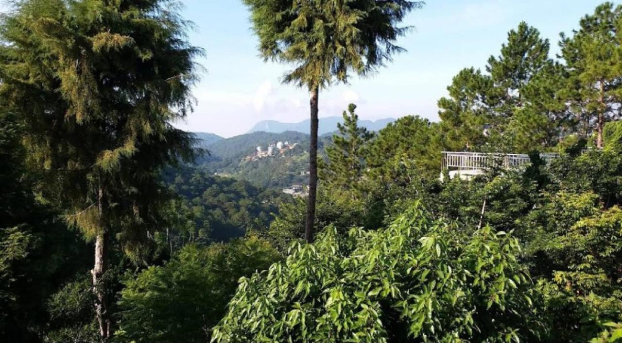 Villa Dieu Thong - Secrect Garden, View San May Va Nui 大叻 外观 照片
