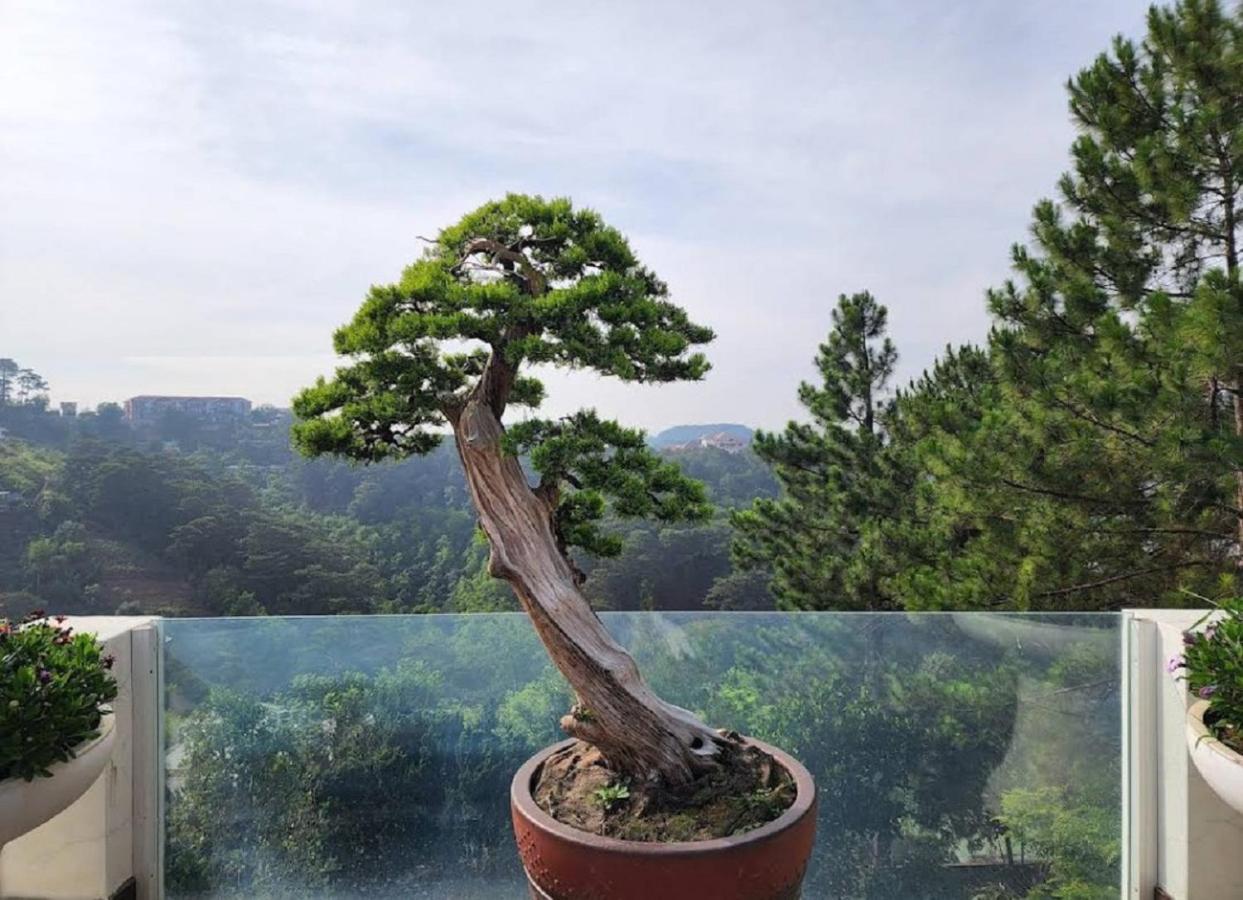 Villa Dieu Thong - Secrect Garden, View San May Va Nui 大叻 外观 照片