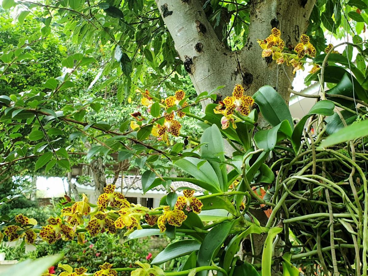 Villa Dieu Thong - Secrect Garden, View San May Va Nui 大叻 外观 照片